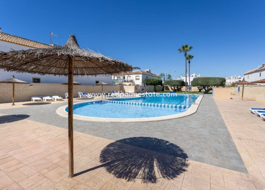 Återförsäljning - Lägenhet -
Torrevieja