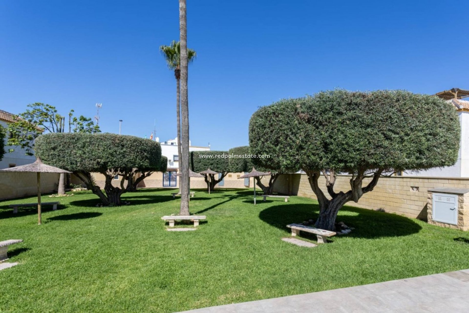 Återförsäljning - Lägenhet -
Torrevieja