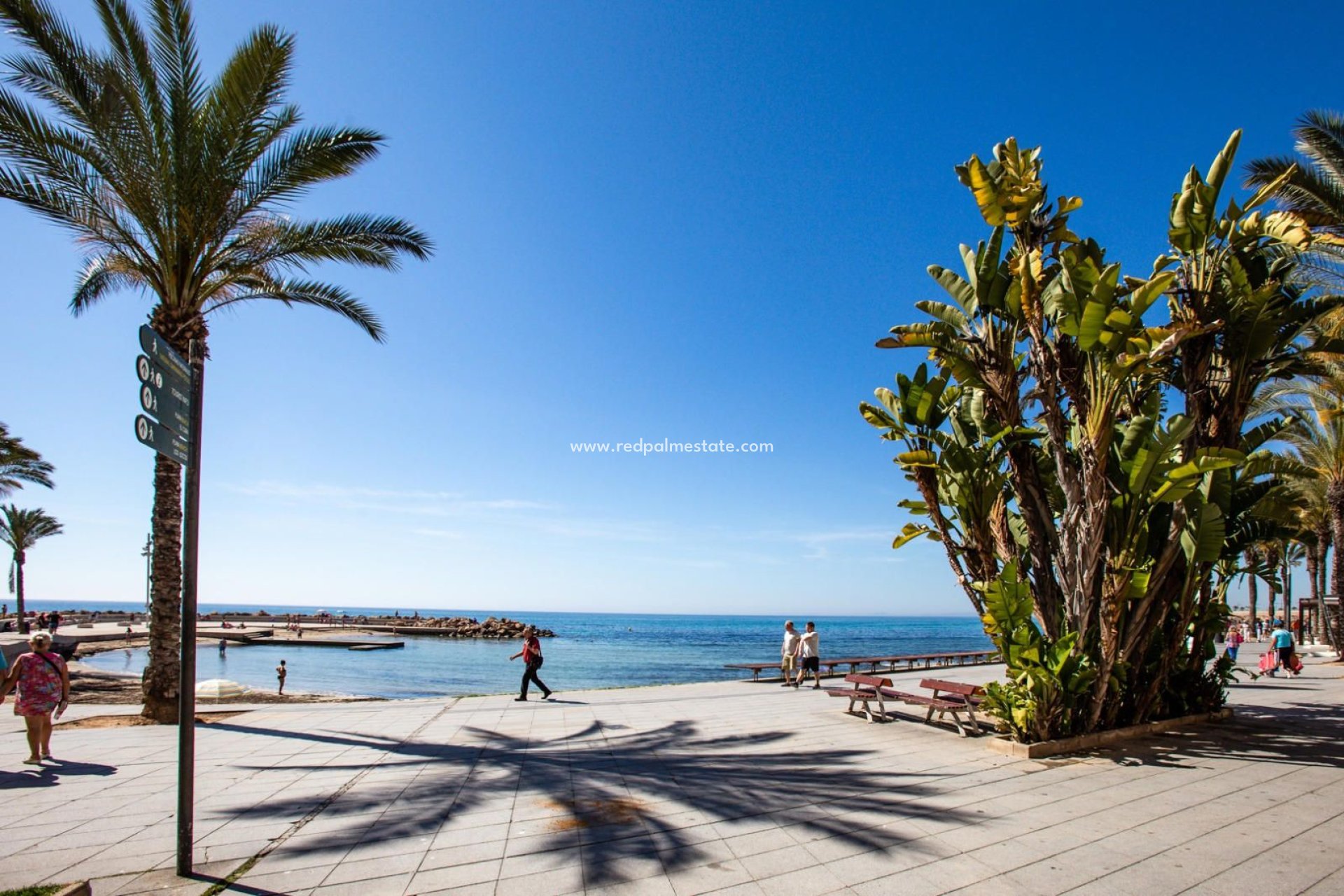 Återförsäljning - Lägenhet -
Torrevieja