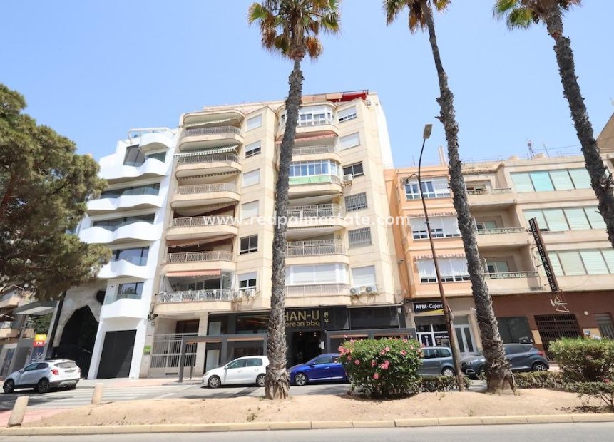 Återförsäljning - Lägenhet -
Torrevieja