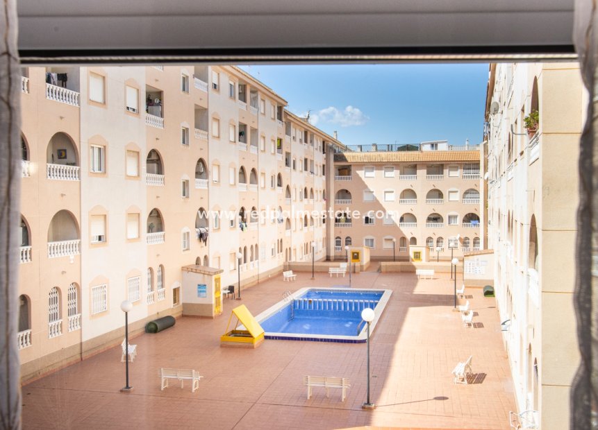 Återförsäljning - Lägenhet -
Torrevieja
