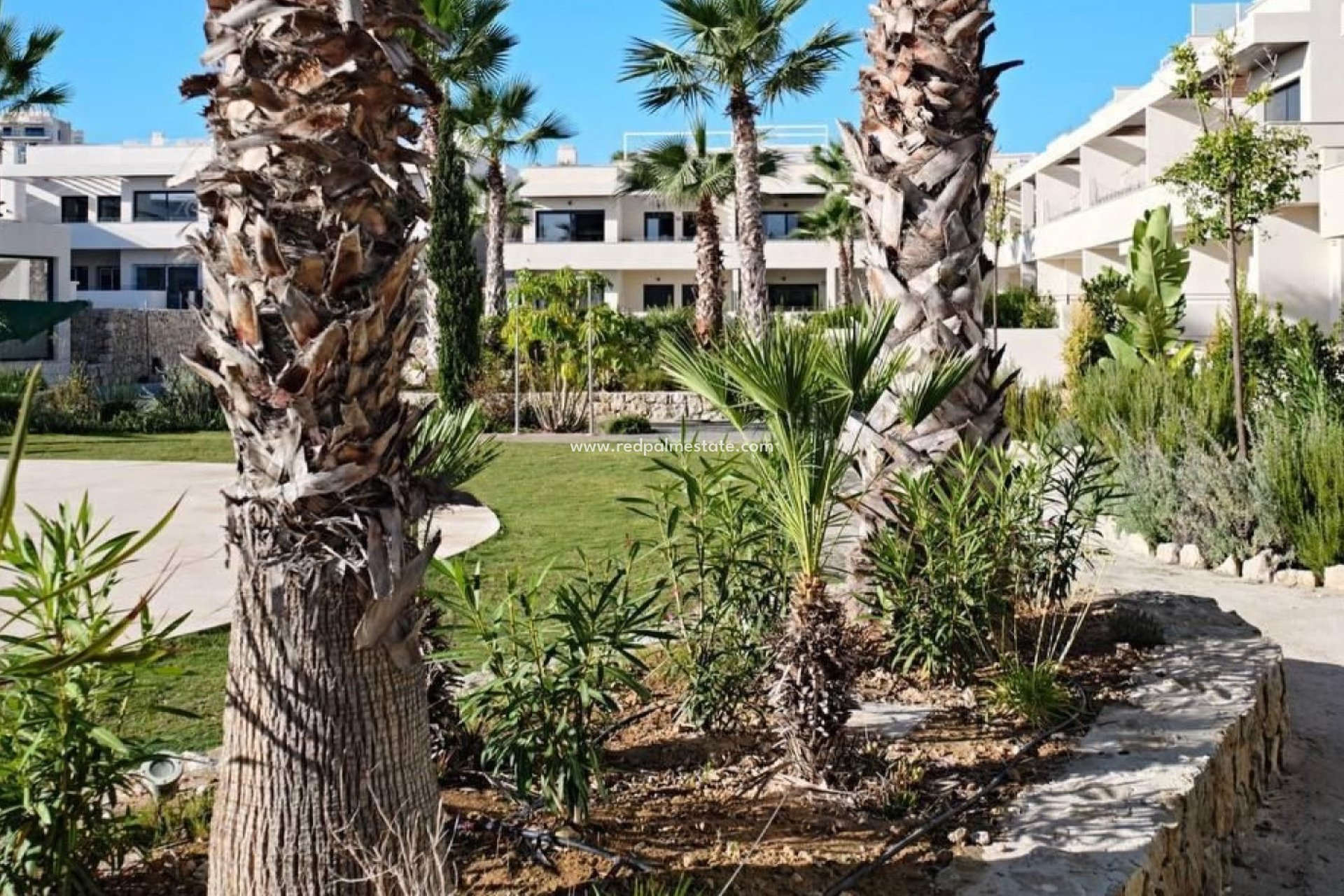 Återförsäljning - Lägenhet -
Torrevieja