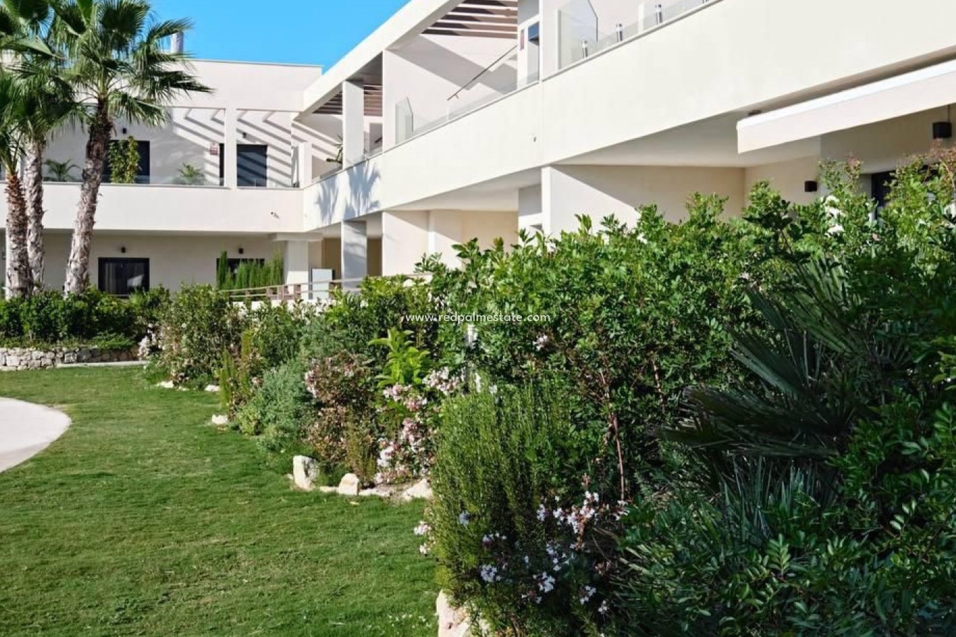 Återförsäljning - Lägenhet -
Torrevieja