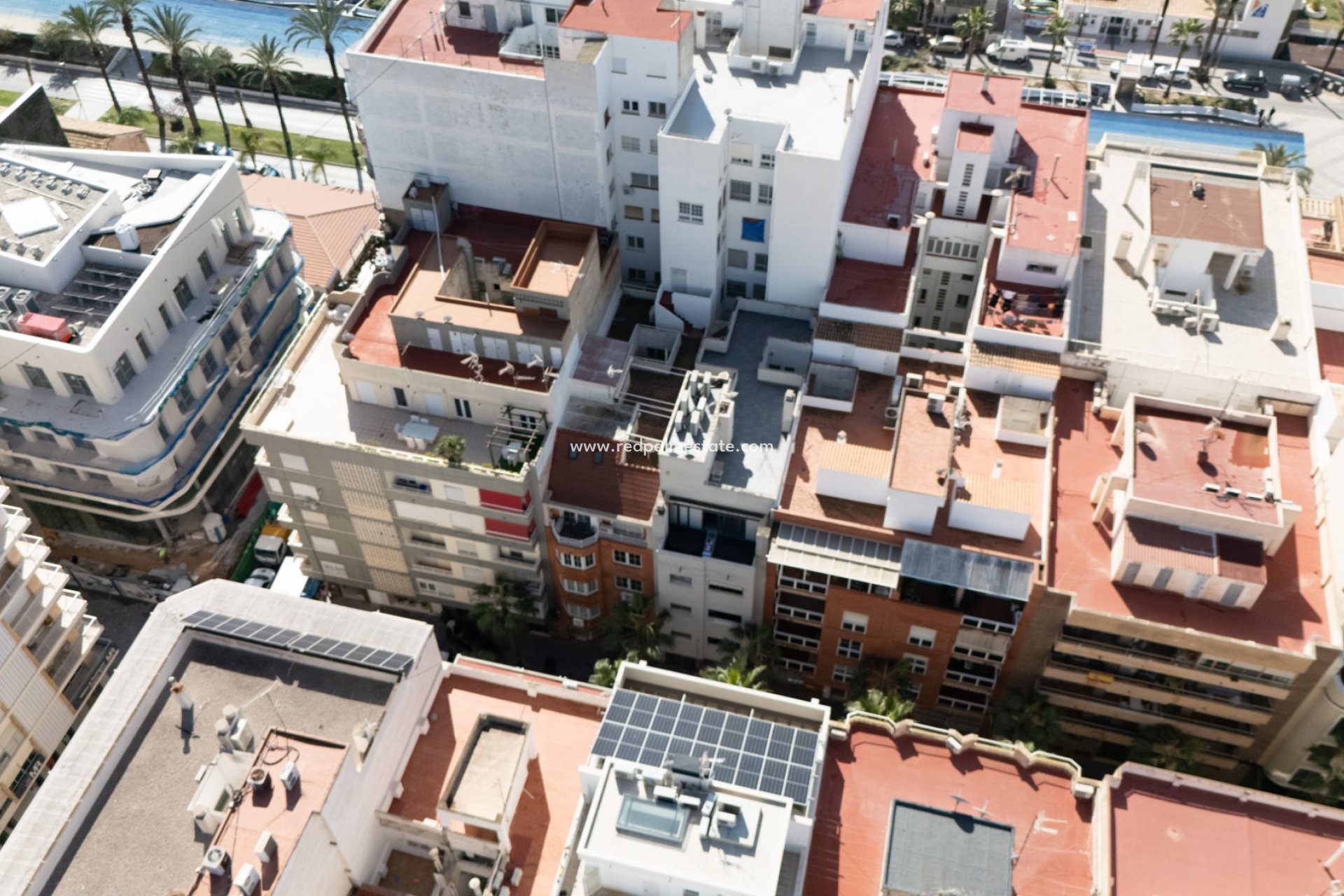 Återförsäljning - Lägenhet -
Torrevieja