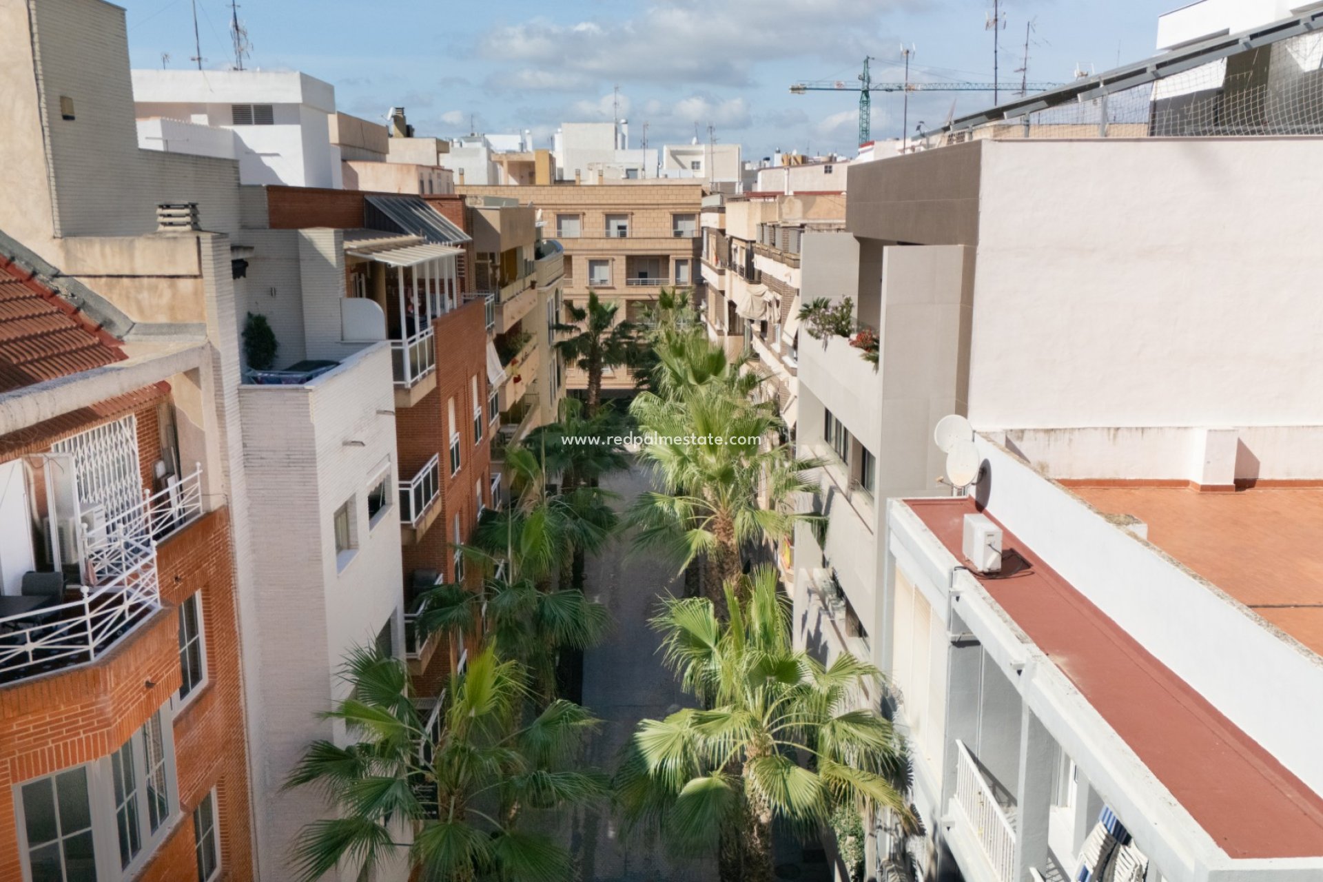 Återförsäljning - Lägenhet -
Torrevieja