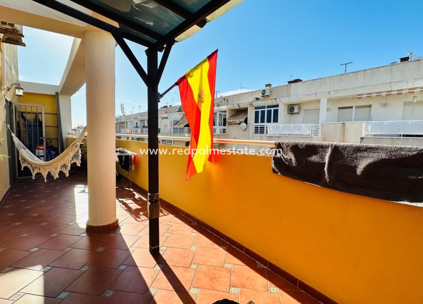 Återförsäljning - Lägenhet -
Torrevieja