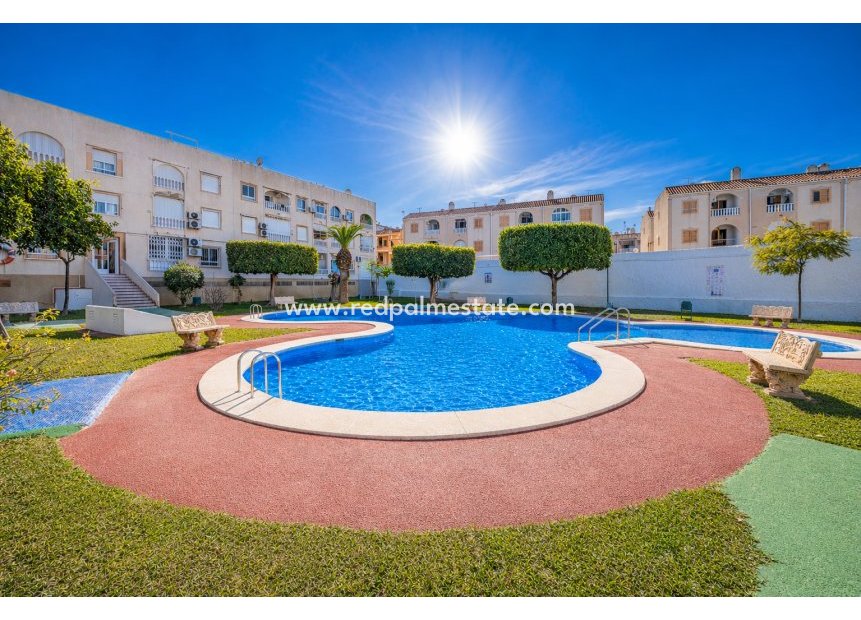 Återförsäljning - Lägenhet -
Torrevieja