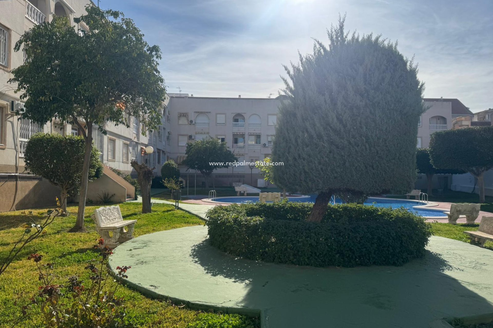 Återförsäljning - Lägenhet -
Torrevieja