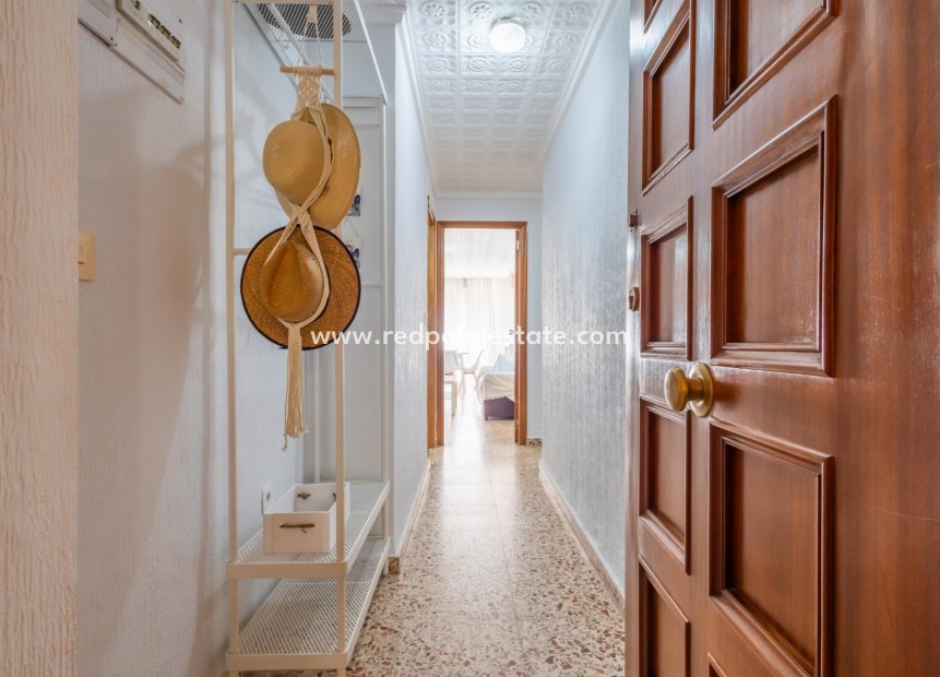 Återförsäljning - Lägenhet -
Torrevieja