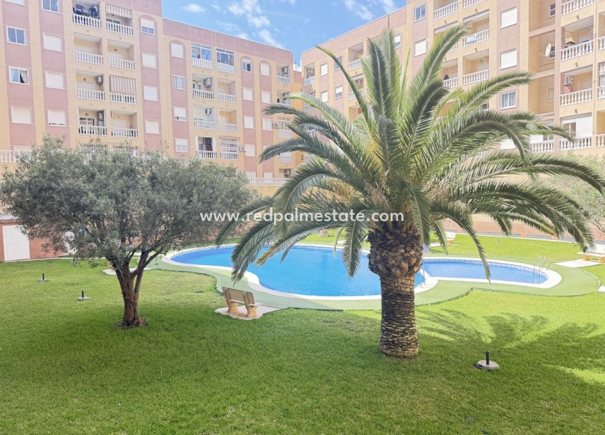 Återförsäljning - Lägenhet -
Torrevieja
