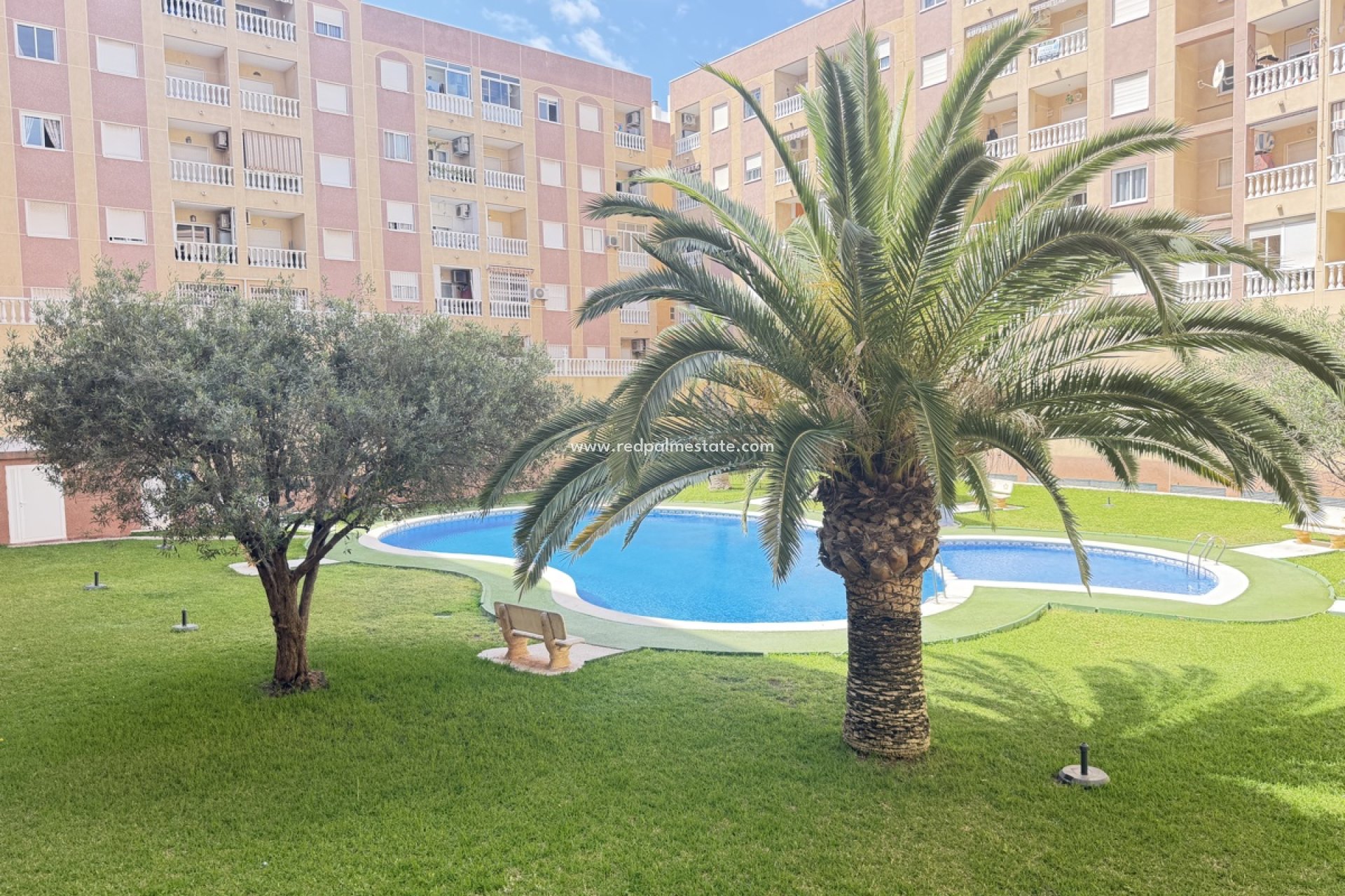 Återförsäljning - Lägenhet -
Torrevieja