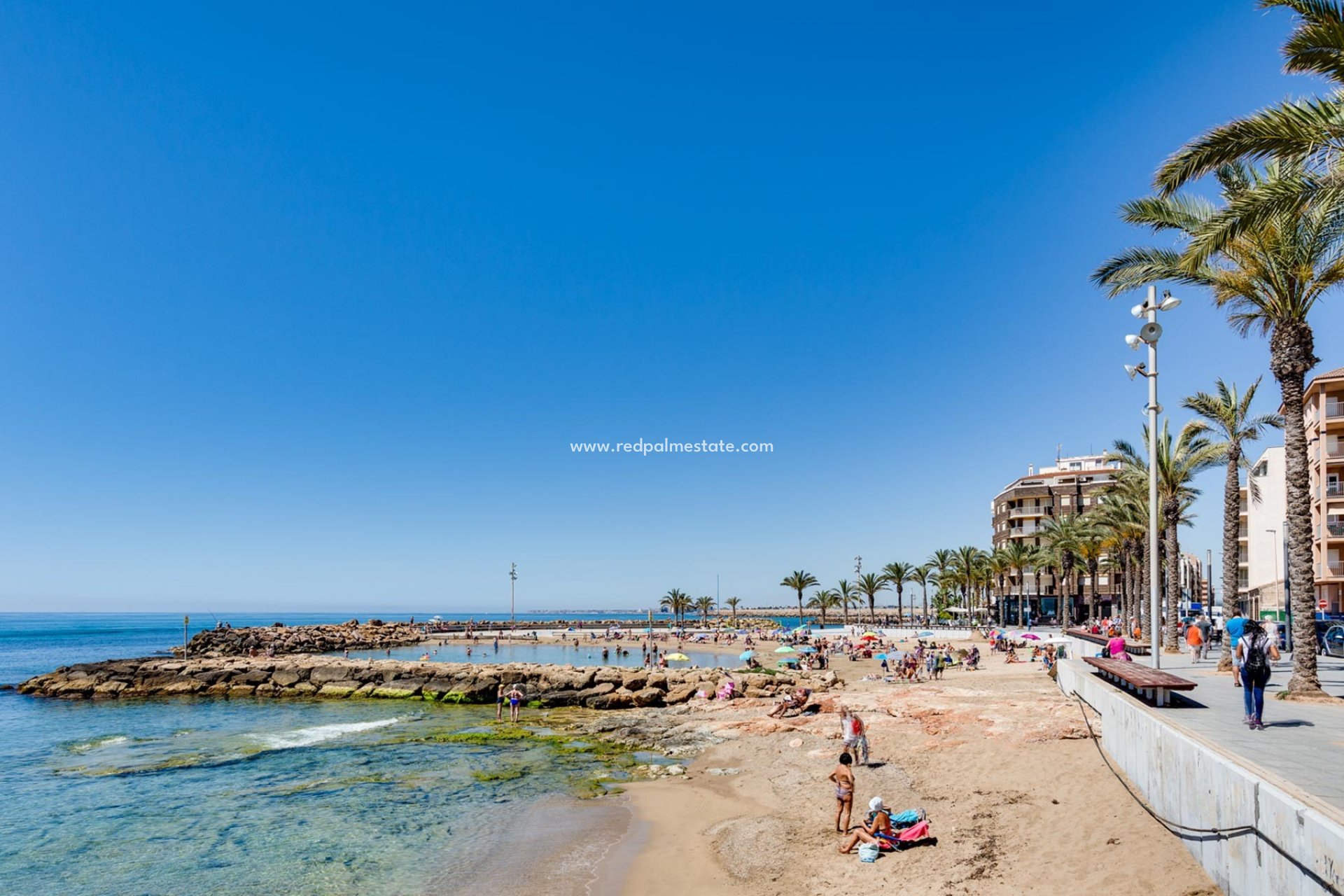 Återförsäljning - Lägenhet -
Torrevieja