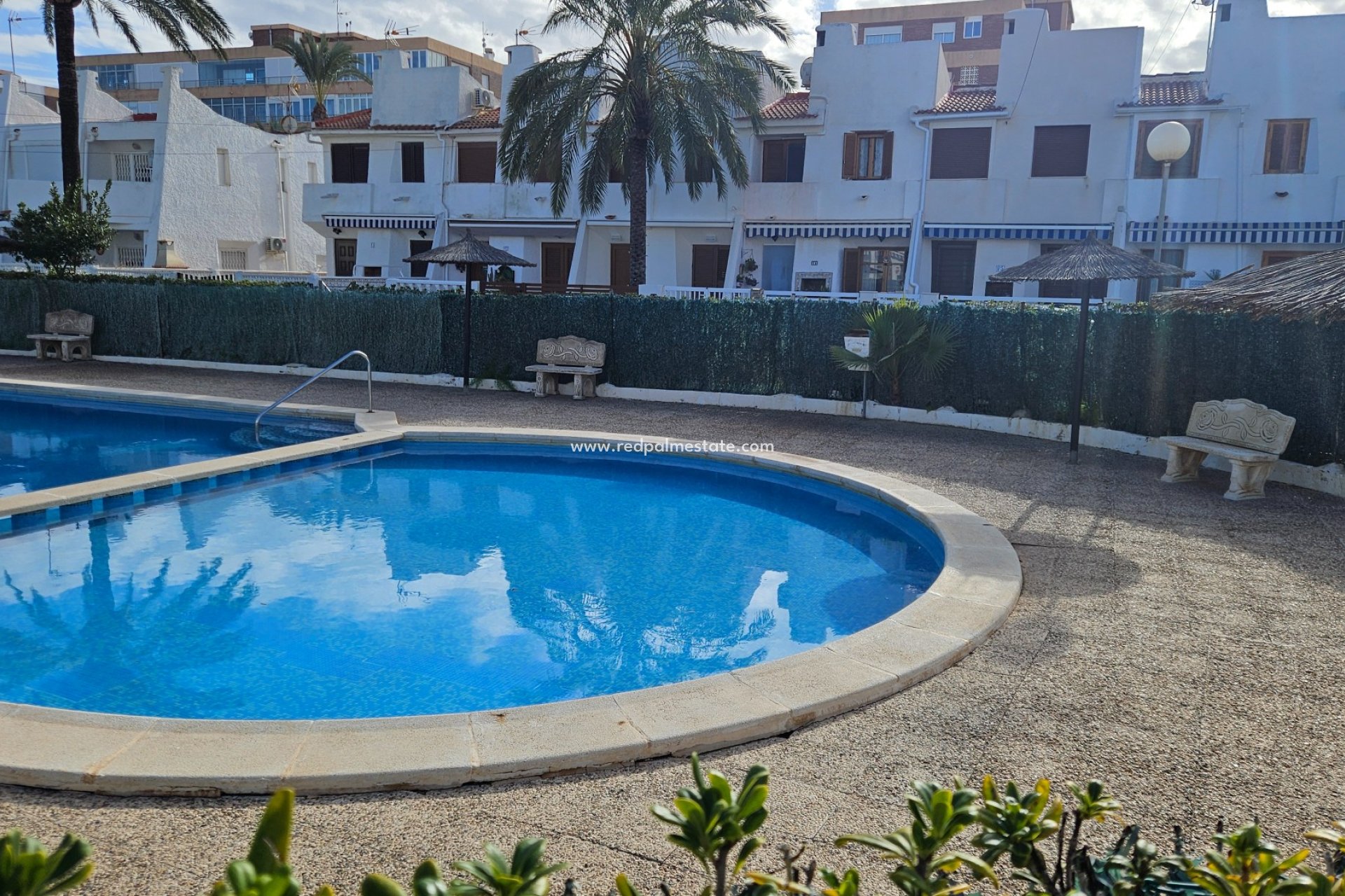 Återförsäljning - Lägenhet -
Torrevieja