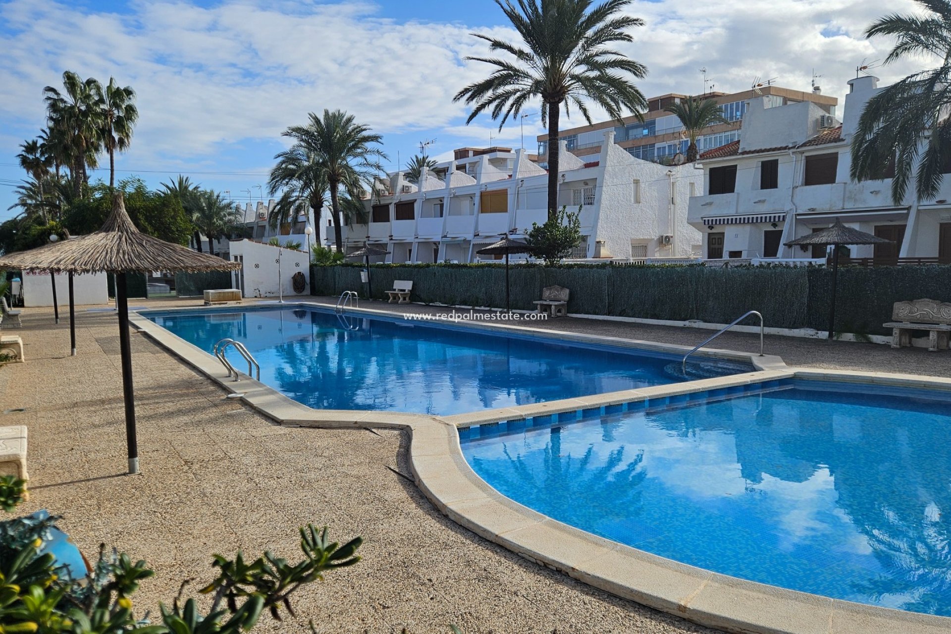 Återförsäljning - Lägenhet -
Torrevieja