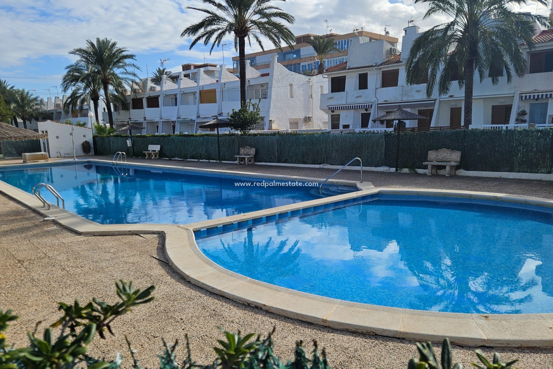 Återförsäljning - Lägenhet -
Torrevieja