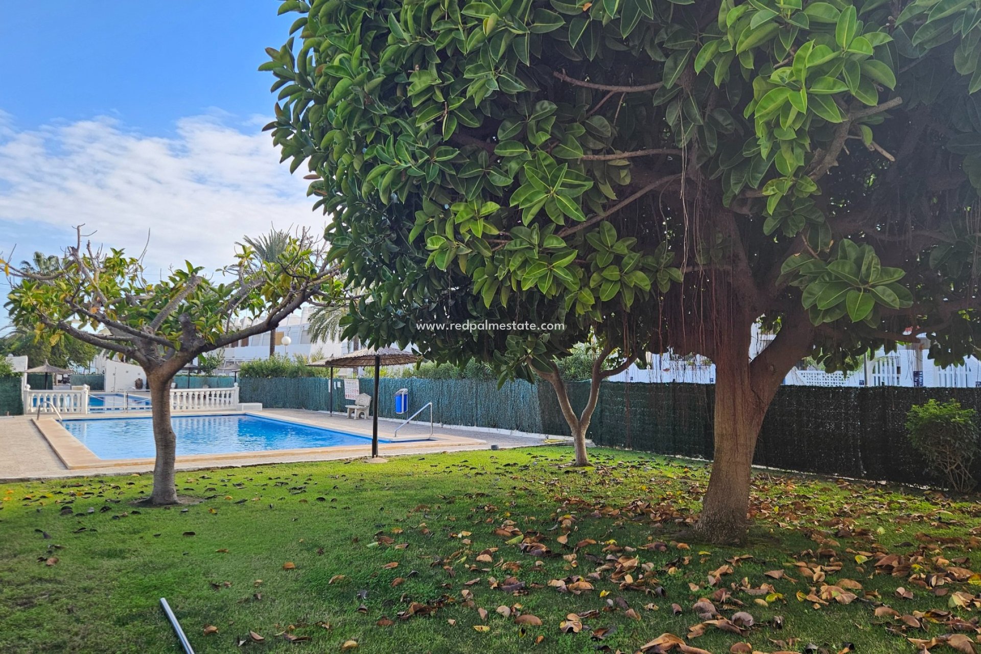 Återförsäljning - Lägenhet -
Torrevieja