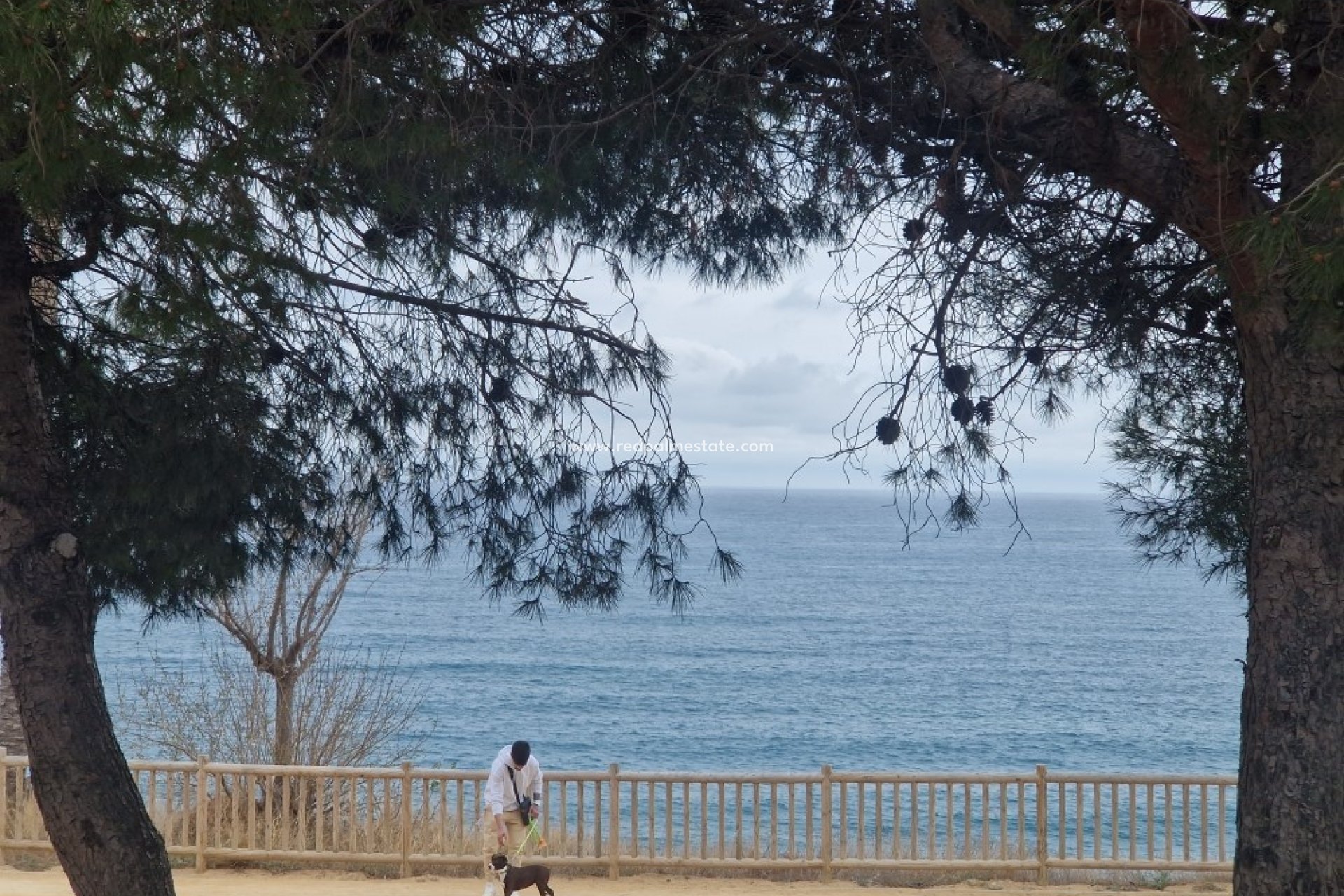 Återförsäljning - Lägenhet -
Villajoyosa - Costa Blanca