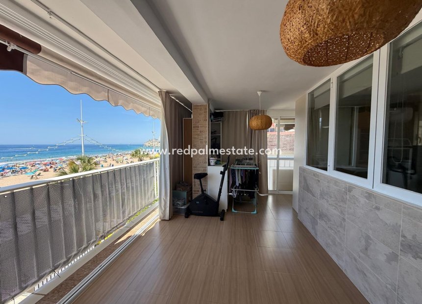 Återförsäljning - Lägenheter -
Benidorm - Costa Blanca