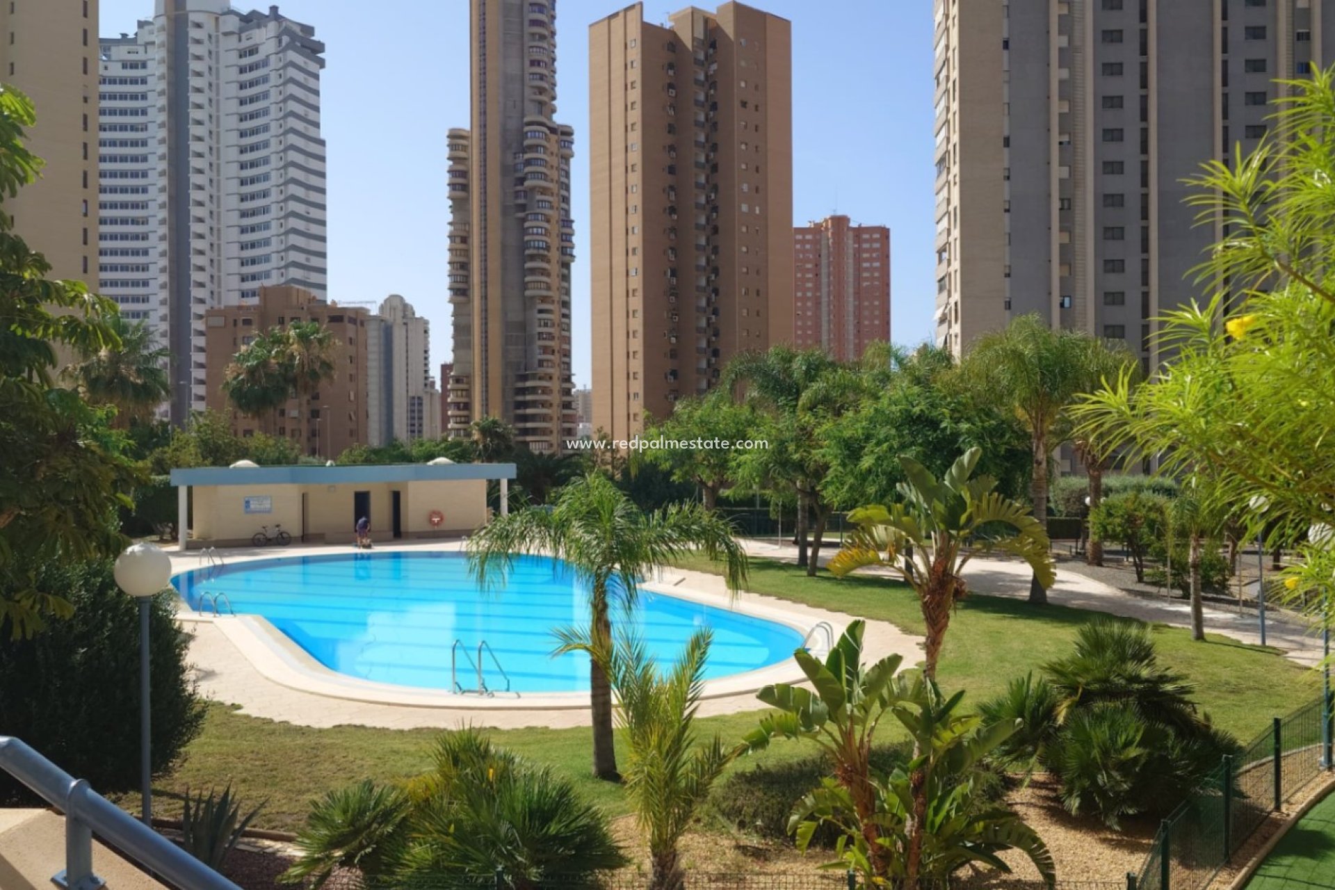 Återförsäljning - Lägenheter -
Benidorm - Costa Blanca
