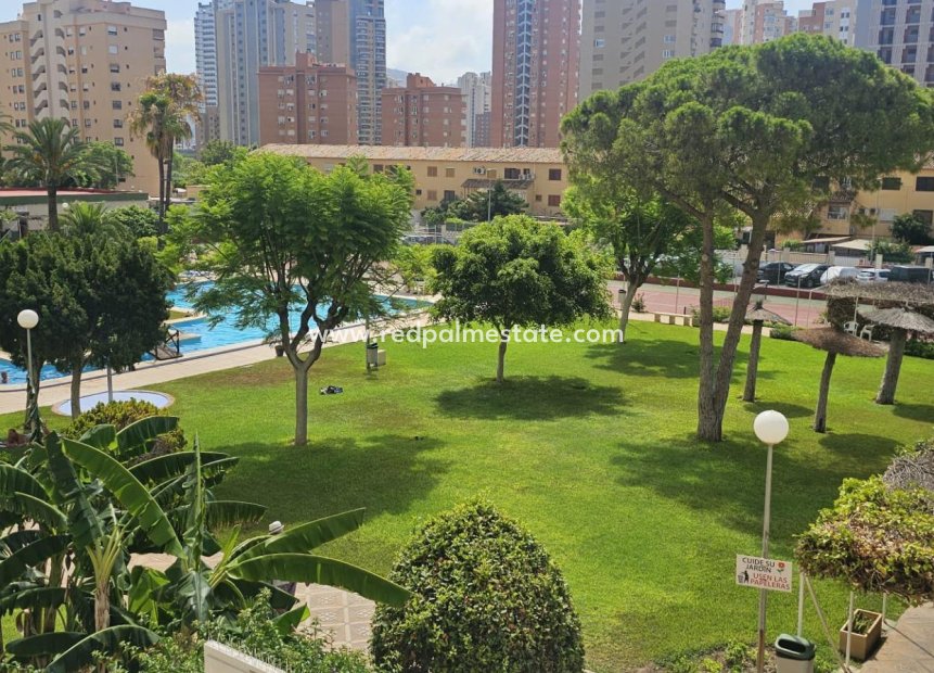 Återförsäljning - Lägenheter -
Benidorm