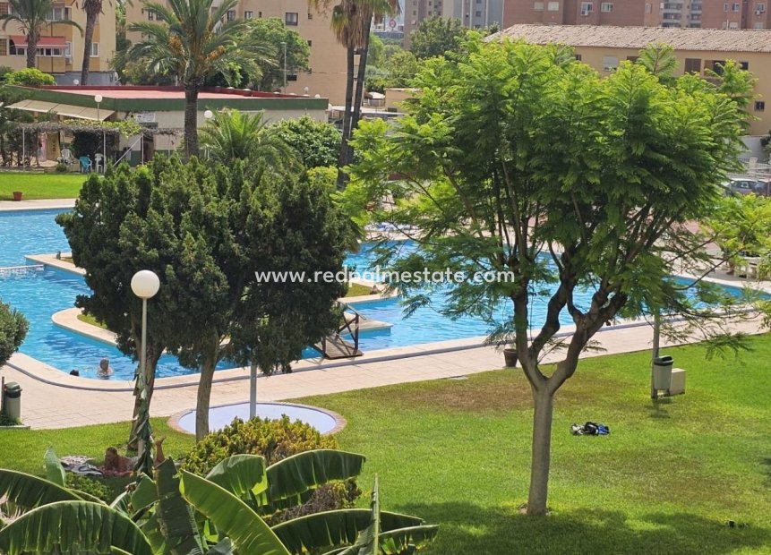 Återförsäljning - Lägenheter -
Benidorm