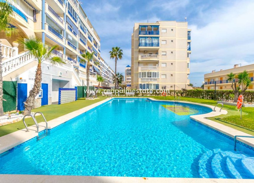 Återförsäljning - Lägenheter -
Gran Alacant - Costa Blanca