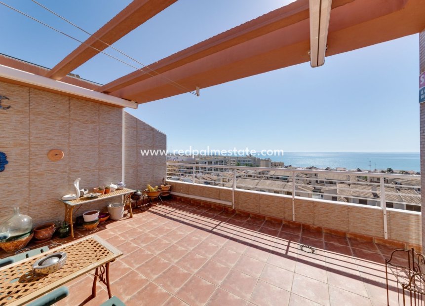 Återförsäljning - Lägenheter -
Guardamar del Segura - Costa Blanca