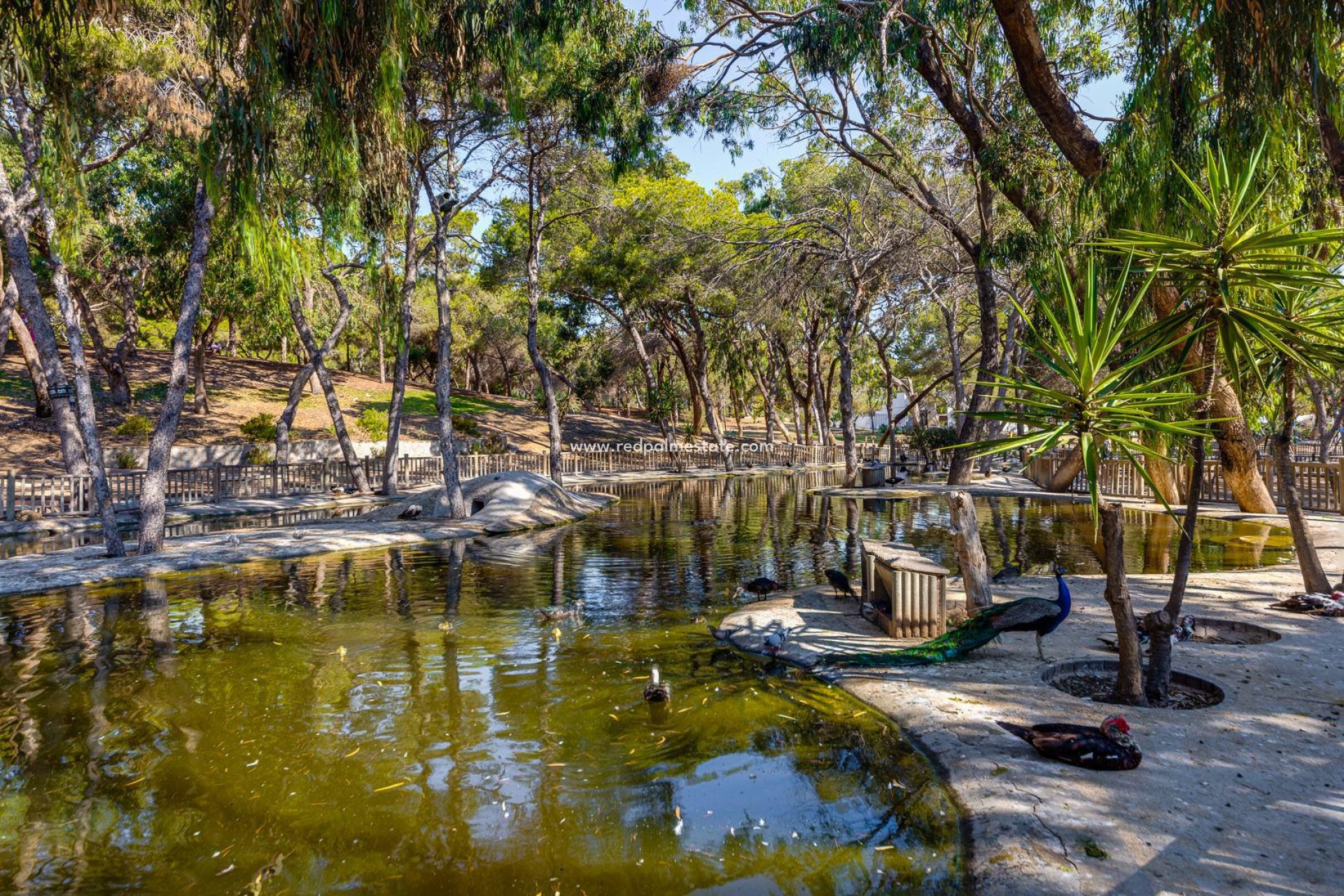 Återförsäljning - Lägenheter -
Guardamar del Segura - Costa Blanca