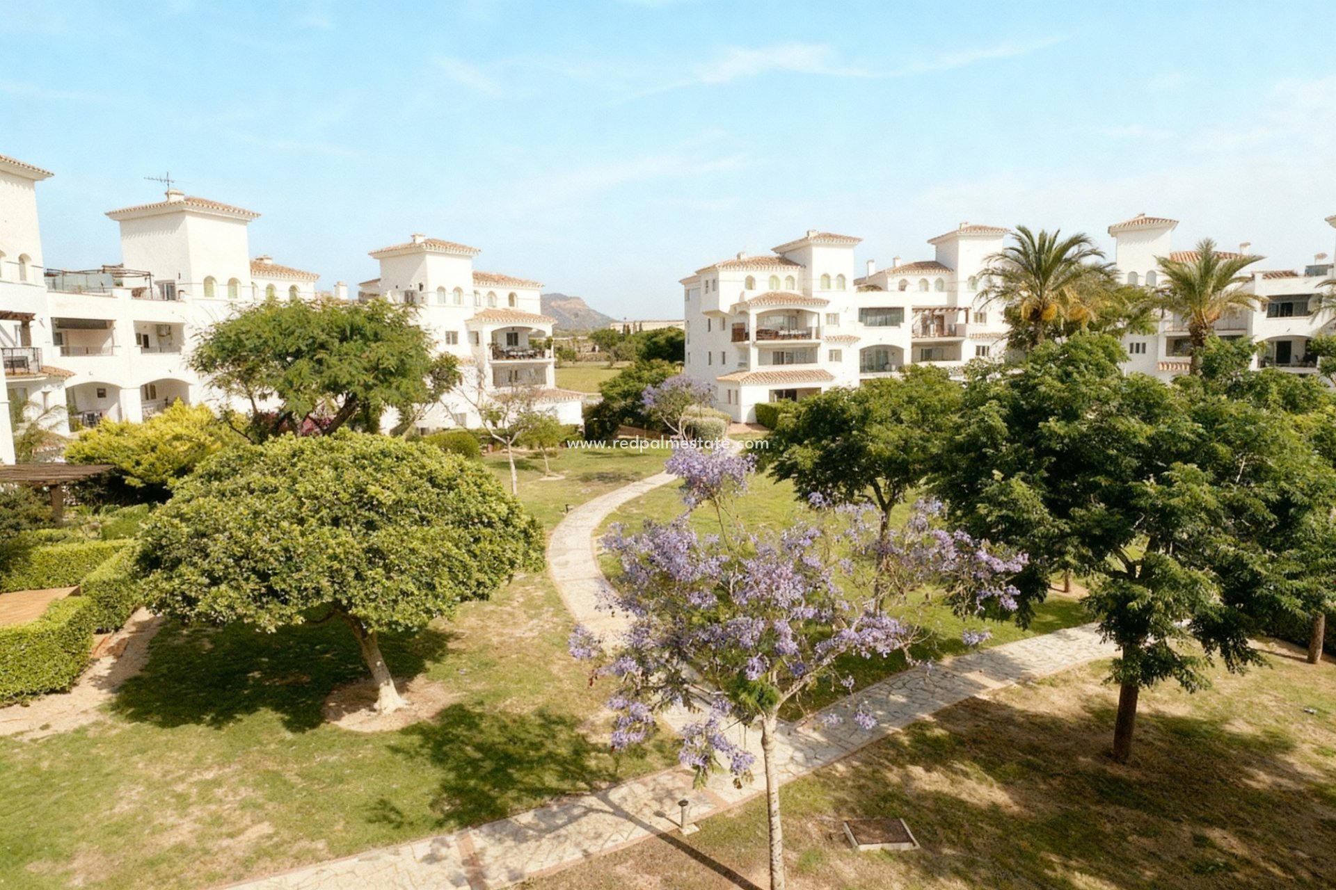 Återförsäljning - Lägenheter -
Hacienda Riquelme Golf Resort - Inland