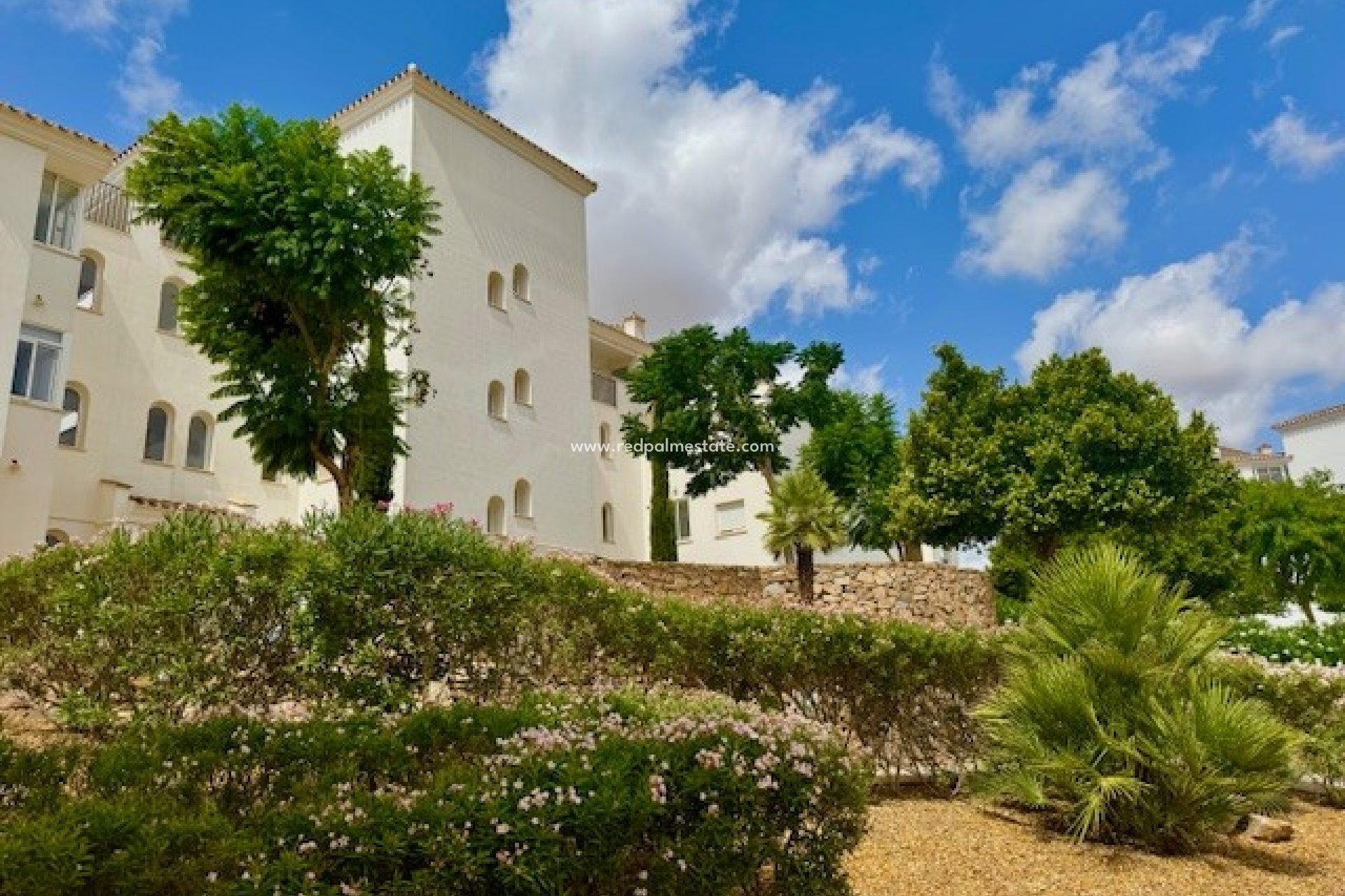 Återförsäljning - Lägenheter -
Hacienda Riquelme Golf Resort - Inland