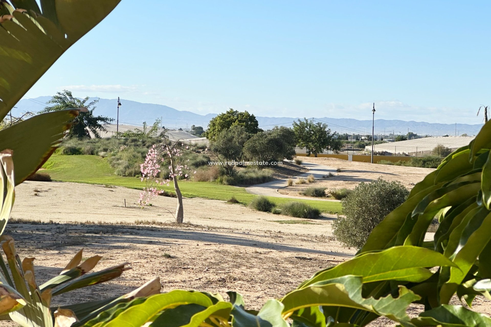 Återförsäljning - Lägenheter -
Mar Menor Golf Resort - Inland
