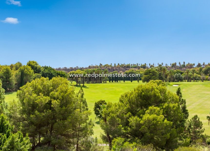 Återförsäljning - Lägenheter -
Orihuela Costa - Campoamor