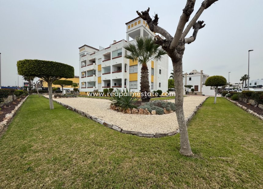 Återförsäljning - Lägenheter -
Orihuela Costa - Campoamor