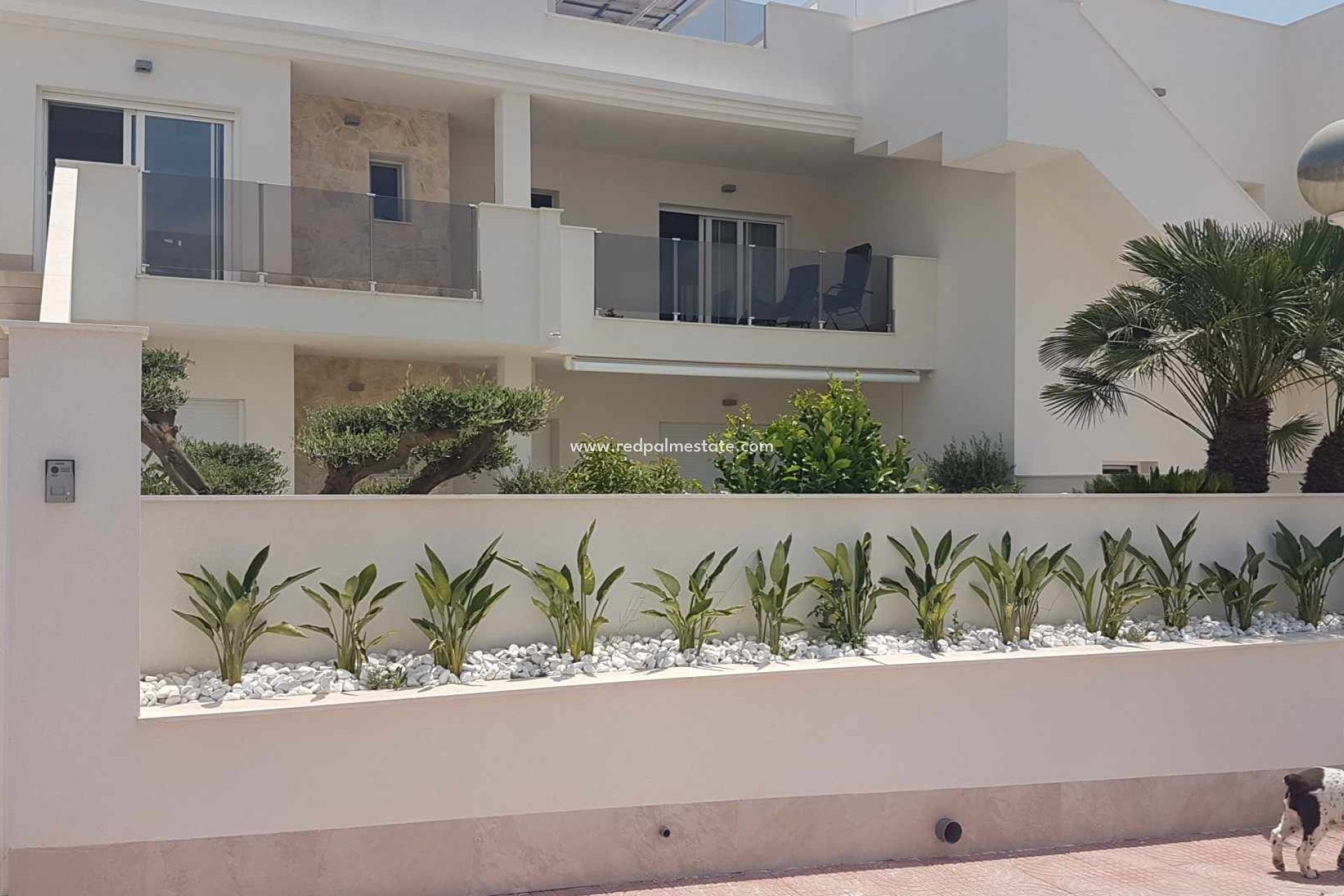 Återförsäljning - Lägenheter -
Orihuela Costa - Costa Blanca