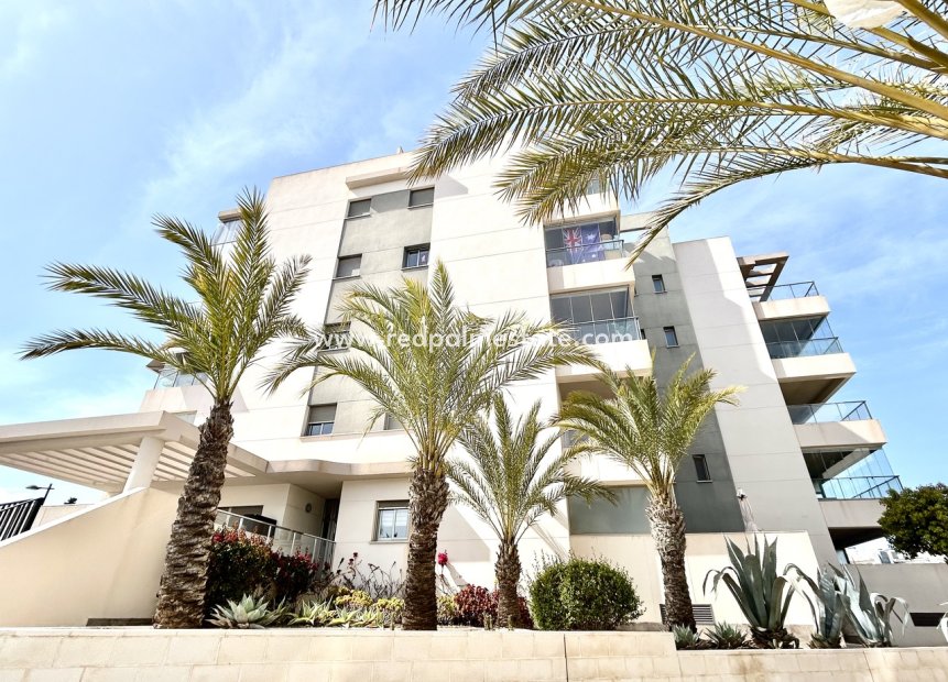 Återförsäljning - Lägenheter -
Orihuela Costa - Inland