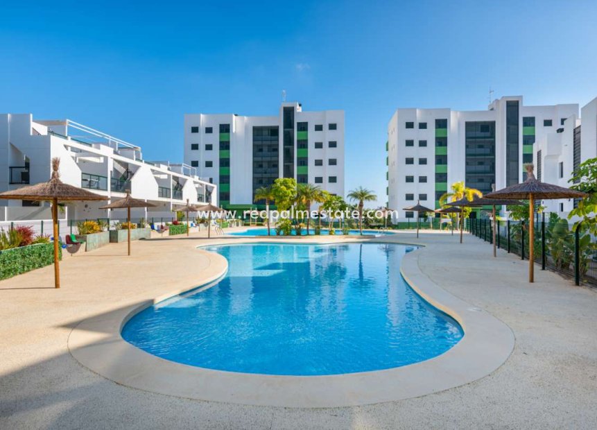 Återförsäljning - Lägenheter -
Orihuela Costa - Mil Palmeras