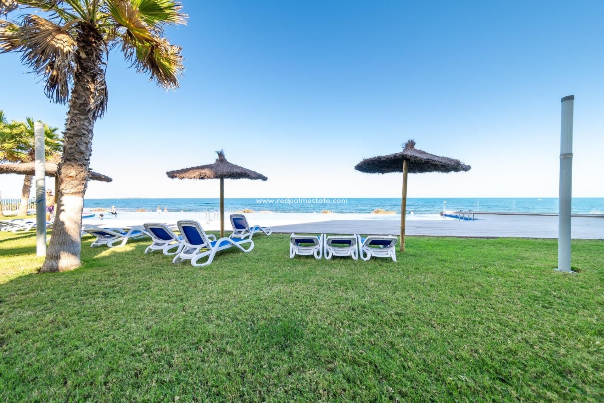 Återförsäljning - Lägenheter -
Orihuela Costa - Punta prima