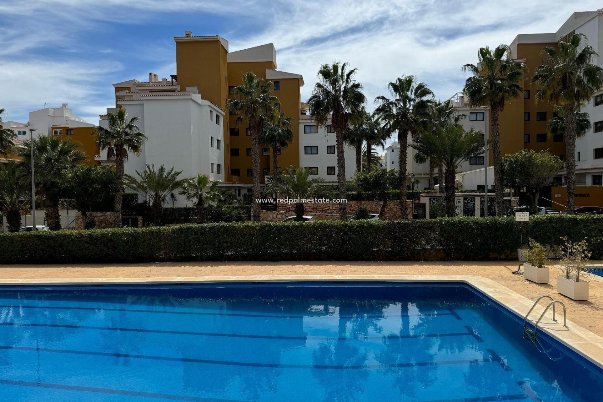 Återförsäljning - Lägenheter -
Orihuela Costa - Punta prima