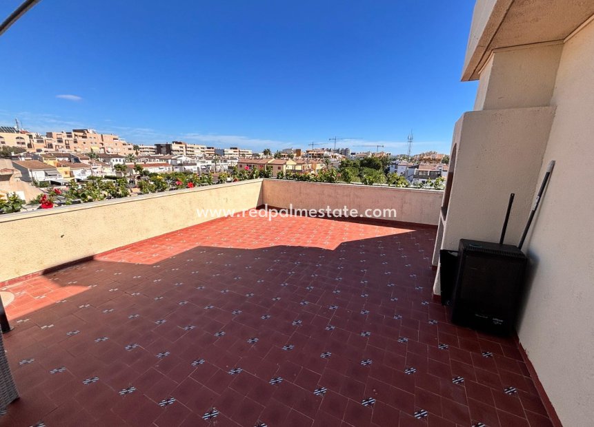 Återförsäljning - Lägenheter -
Orihuela Costa - Punta prima