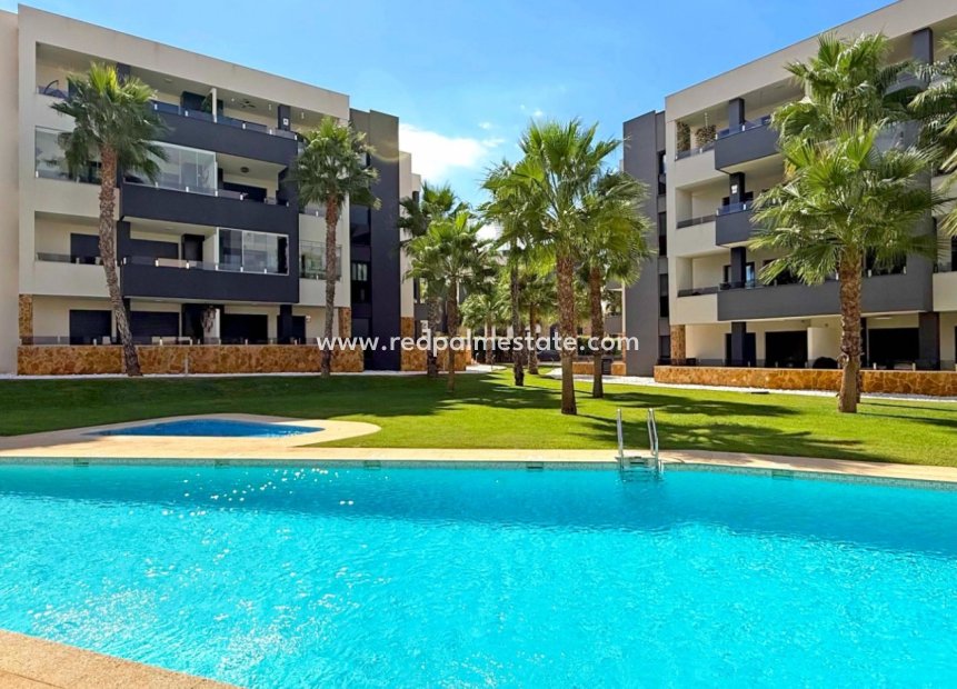 Återförsäljning - Lägenheter -
Orihuela Costa