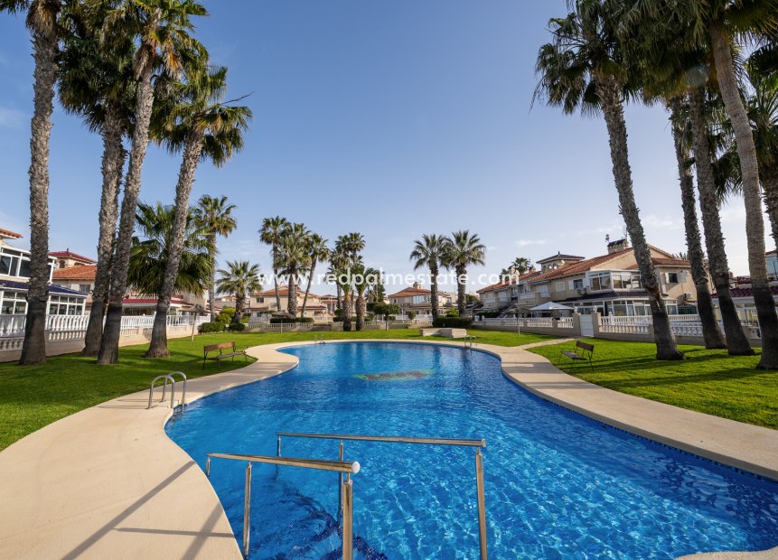 Återförsäljning - Lägenheter -
Playa Flamenca - Zenia Mar