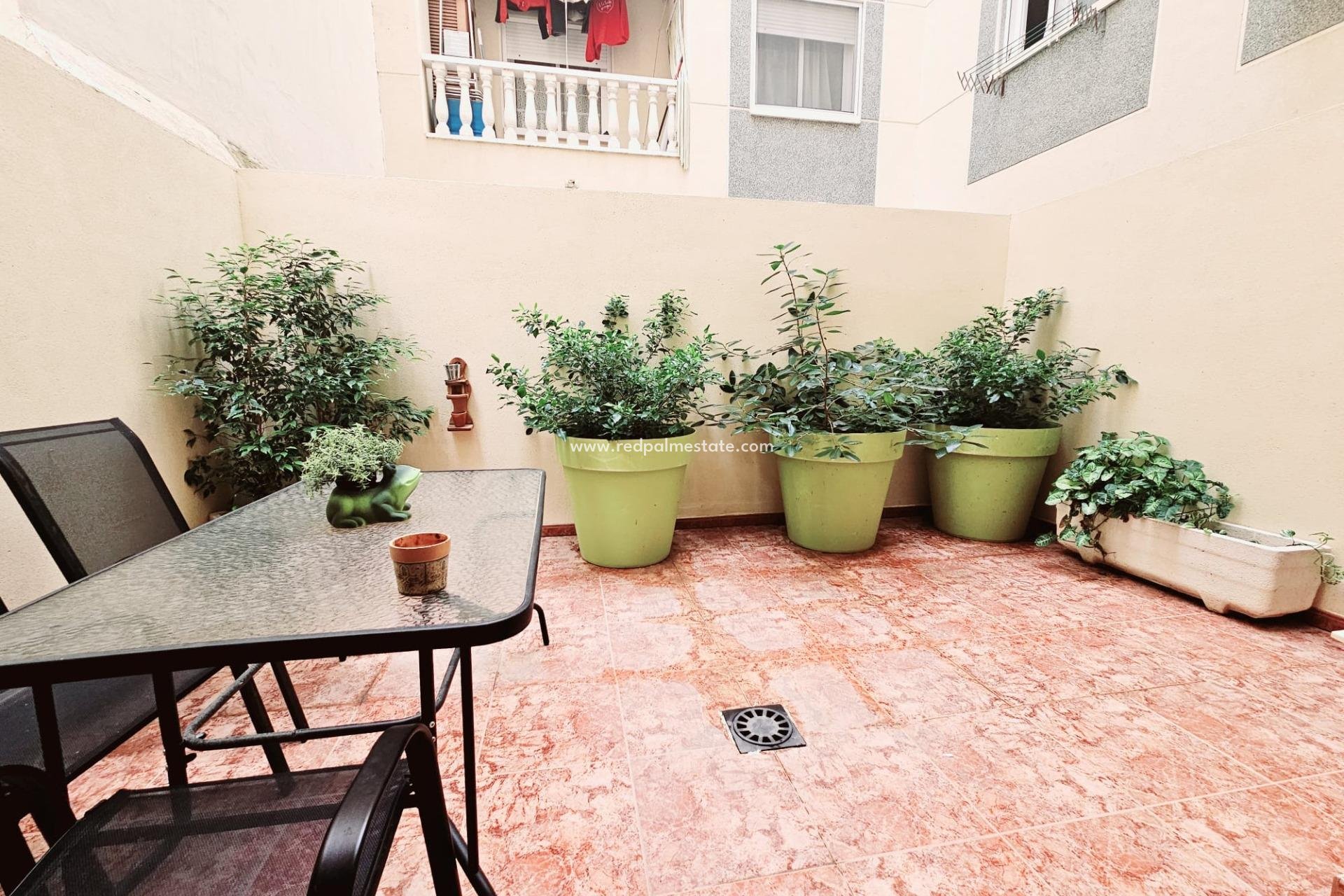 Återförsäljning - Lägenheter -
Torrevieja - Centro Torrevieja