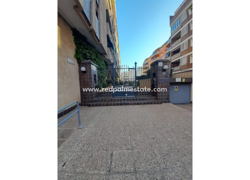 Återförsäljning - Lägenheter -
Torrevieja - Centro Torrevieja