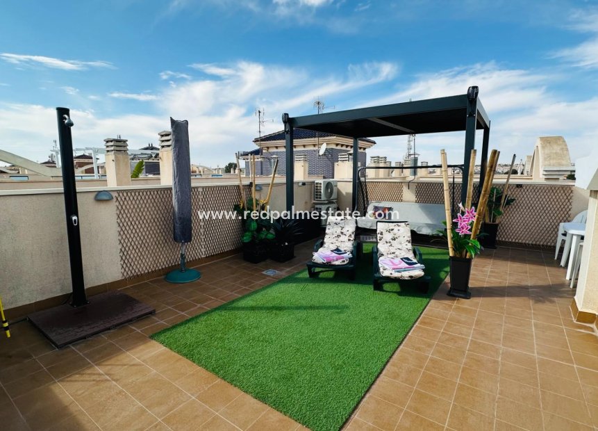 Återförsäljning - Lägenheter -
Torrevieja - Centro Torrevieja