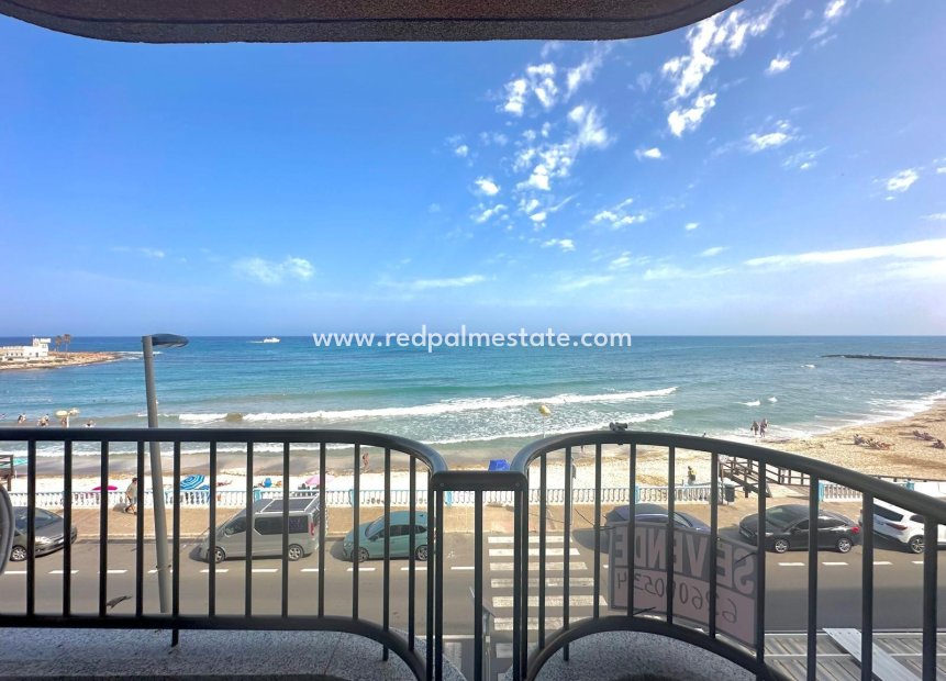 Återförsäljning - Lägenheter -
Torrevieja - Centro Torrevieja