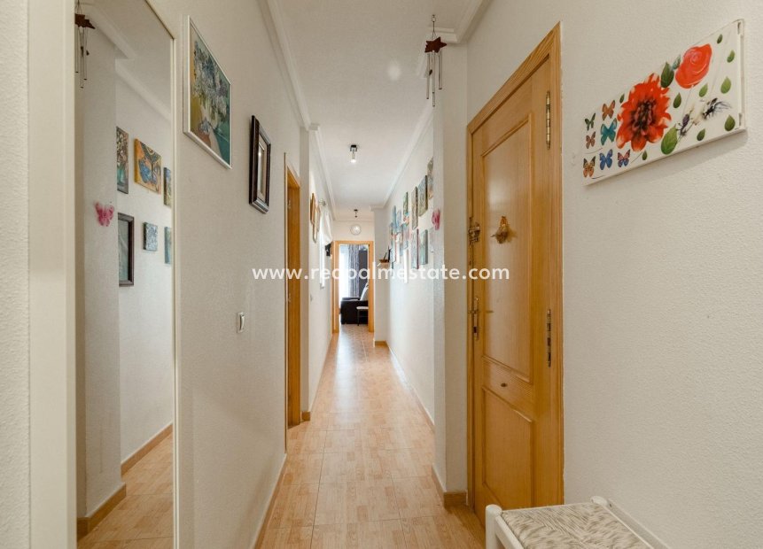 Återförsäljning - Lägenheter -
Torrevieja - Centro Torrevieja