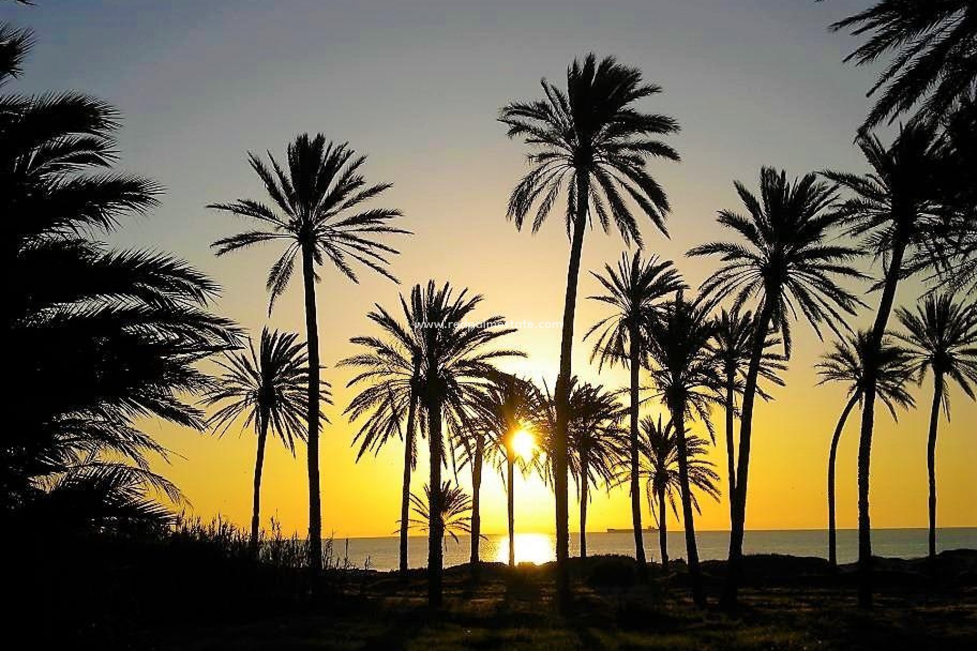 Återförsäljning - Lägenheter -
Torrevieja - Centro Torrevieja