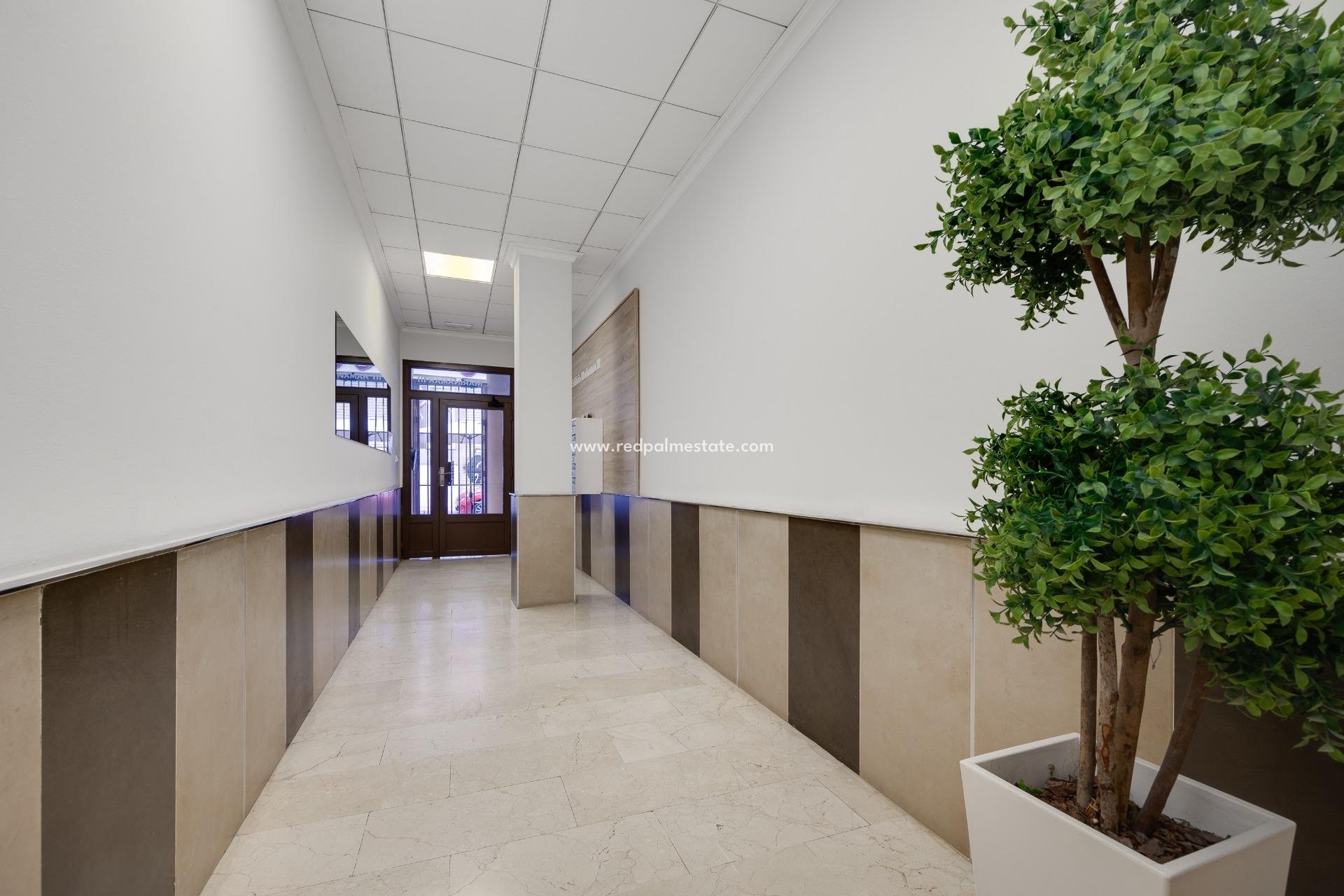 Återförsäljning - Lägenheter -
Torrevieja - Centro Torrevieja