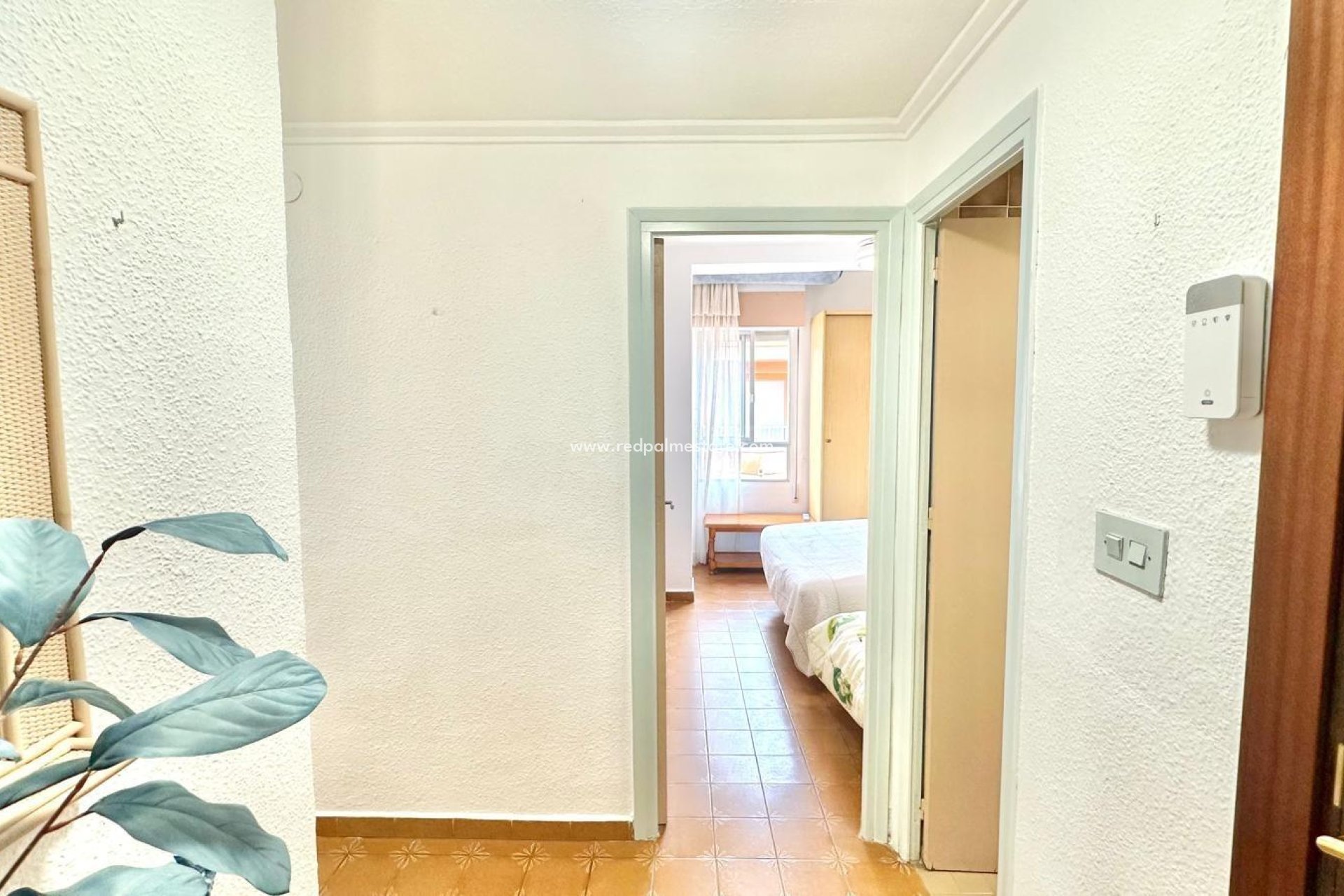 Återförsäljning - Lägenheter -
Torrevieja - Centro Torrevieja