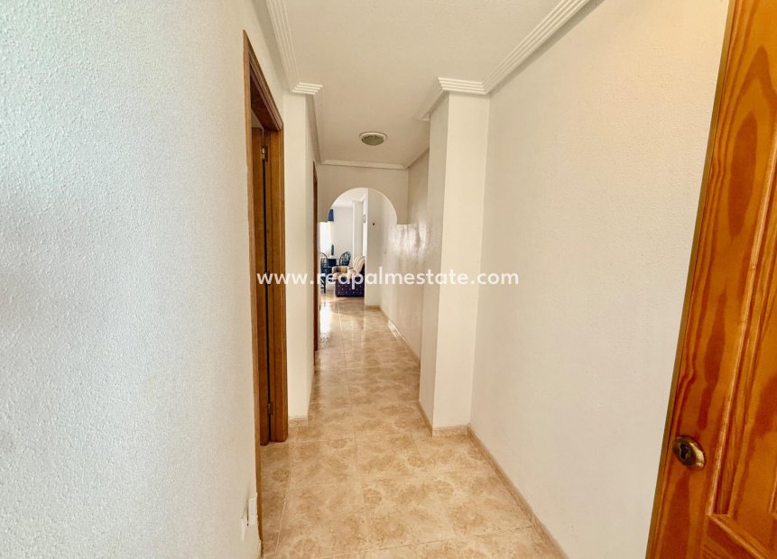 Återförsäljning - Lägenheter -
Torrevieja - Centro Torrevieja